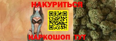 прущие грибы Будённовск