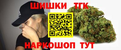 прущие грибы Будённовск