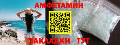 прущие грибы Будённовск